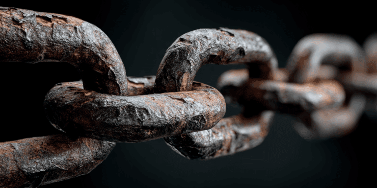 backlink de qualité